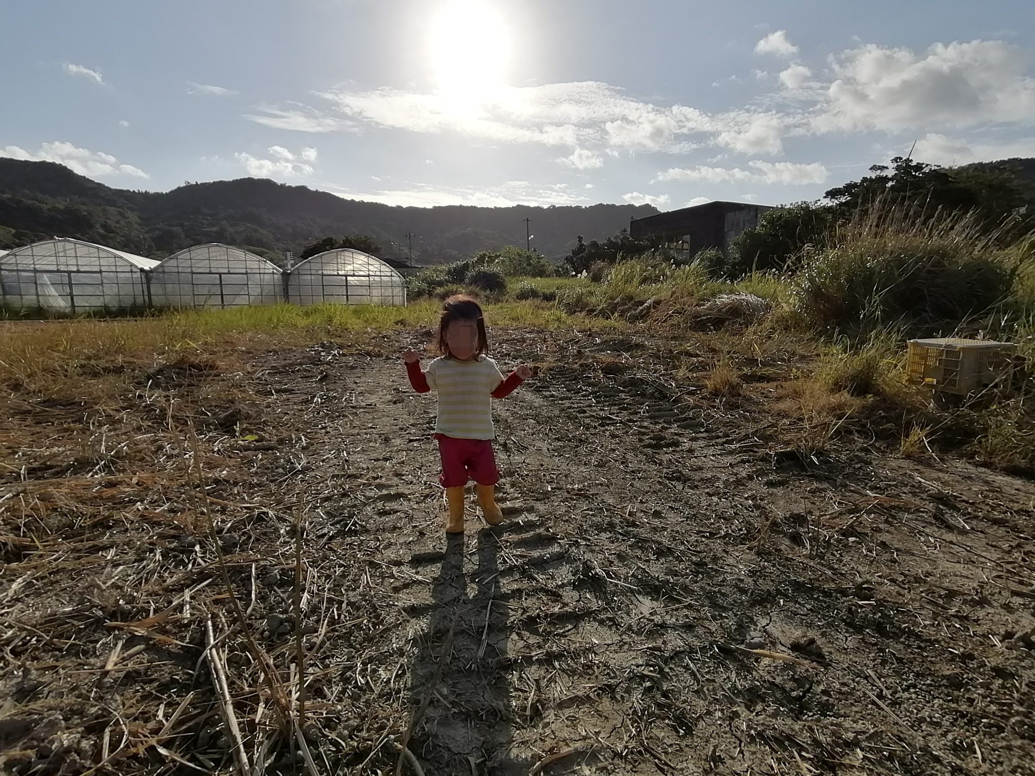 ユンボが入ってた！ ～沖縄移住者が農業を始めるブログ～ 沖縄移住者マキコの子育て農業ブログ